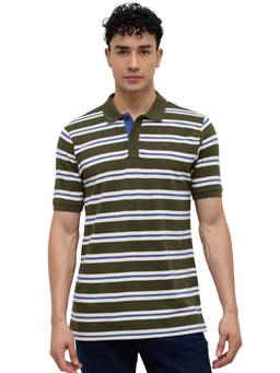 ColorPlus - Men Green Stripes Pure Cotton Polo T-Shirt