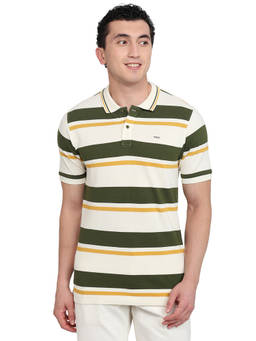 ColorPlus - Men Green Stripes Pure Cotton Polo T-Shirt