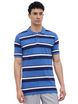 ColorPlus - Men Blue Stripes Pure Cotton Polo T-Shirt