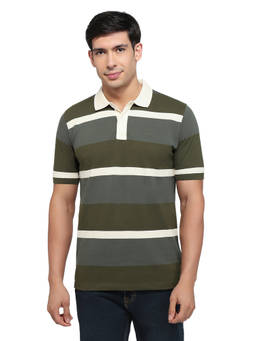 ColorPlus - Men Green Stripes Pure Cotton Polo T-Shirt