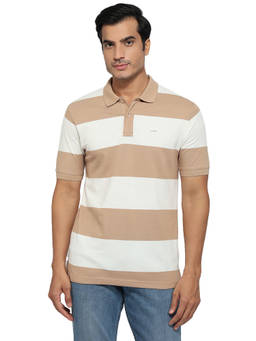 ColorPlus - Men Blue Stripes Pure Cotton Polo T-Shirt