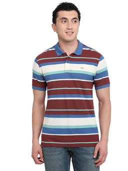 ColorPlus - Men Maroon Stripes Pure Cotton Polo T-Shirt