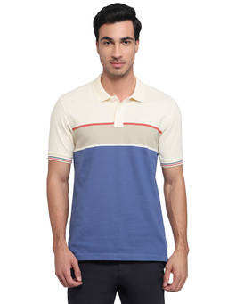 ColorPlus - Men Blue Colorblock Pure Cotton Polo T-Shirt