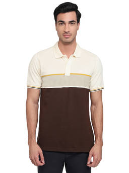 ColorPlus - Men Brown Colorblock Pure Cotton Polo T-Shirt