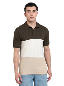 ColorPlus - Men Green Colorblock Pure Cotton Polo T-Shirt