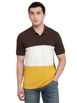 ColorPlus - Men Brown Colorblock Pure Cotton Polo T-Shirt