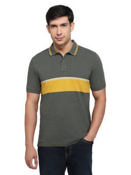 ColorPlus - Men Green Colorblock Pure Cotton Polo T-Shirt