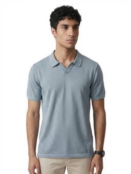 ColorPlus - Men Blue Textured Pure Cotton Polo T-Shirt