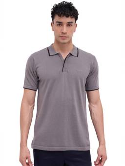 ColorPlus - Men Grey Textured Pure Cotton Polo T-Shirt