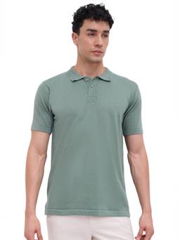 ColorPlus - Men Green Textured Pure Cotton Polo T-Shirt