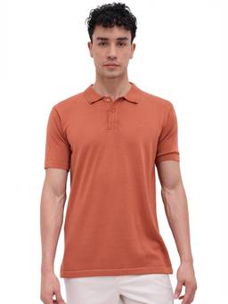 ColorPlus - Men Red Textured Pure Cotton Polo T-Shirt