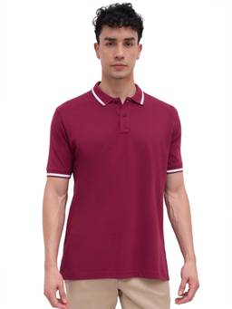 ColorPlus - Men Maroon Solid/Plain Pure Cotton Polo T-Shirt