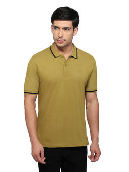 ColorPlus - Men Green Solid/Plain Pure Cotton Polo T-Shirt