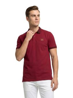 ColorPlus - Men Maroon Solid/Plain Pure Cotton Polo T-Shirt