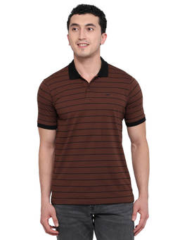 Park Avenue - Men Brown Stripes Pure Cotton Polo T-Shirt