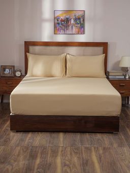 Maspar - Gold 100% Cotton Solid Bedsheet with 2 Pillow Covers (King)