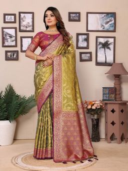 Anaita - Green Tissue Silk Jaal Floral Weaving Saree with Unstitched Blouse