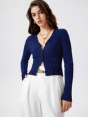 Blue color option, Currently selected