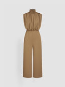 Brown color option, Currently selected