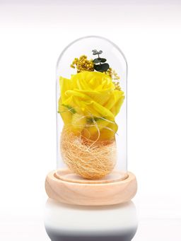Gleevers - 3D Rose Crystal LED Lamp Changing