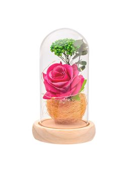 Gleevers - Artificial Rose in Glass Dome with LED Lights- Beauty & The Beast Red Rose