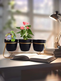 Gleevers - Planter with Golden Stand Black