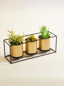 Gleevers - Planter with Golden Stand