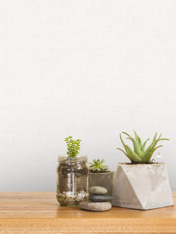 Excel - White Magnolia Wallpaper