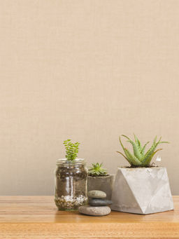 Excel - Beige Magnolia Design Wallpaper