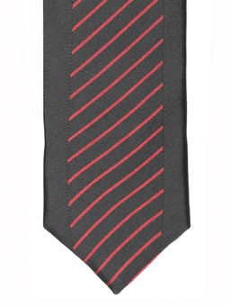 Alvaro Castagnino - Mens Necktie