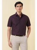 Purple color option, Currently selected