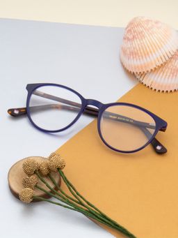 TED SMITH - Full Rim Blue Round Eyeglasses Frames for Men-Women (52)