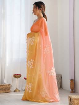 URBAN PALLU - Women Chiffon Multi-Color Embroidered Saree