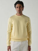 Yellow color option, Currently selected