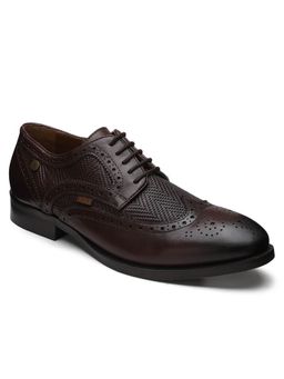 EZOK - Genuine Leather Brown Solid Formal Brogue Shoes For Men