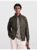 Green color option