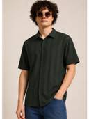 Olive color option
