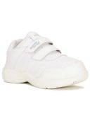 White color option, Sold out