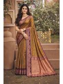 Brown color option, Currently selected