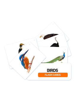 Bloomy Brain Toys - Birds Flash Cards