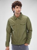 Green color option, Currently selected