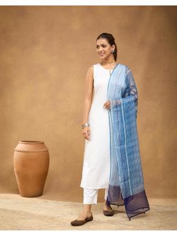 Fabindia - Women Blue Cotton Silk Printed Dupatta