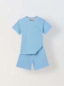 Blue color option, Currently selected