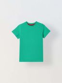 Green color option