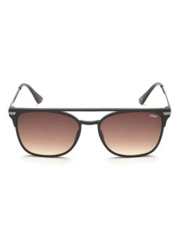 IDEE - Brown Gradient Lens Square Sunglass Matt Dark Brown Dark Gun Frame (54)