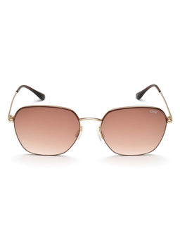 IDEE - Brown Gradient Lens Hexagon Sunglass Full Rim Shiny Light Gold Shiny Brown Frame (56)