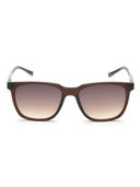 Brown color option, Sold out