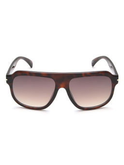 IDEE - Brown Gradient Fm Lens Square Sunglass Full Rim Shiny Brown Demi Frame (58)