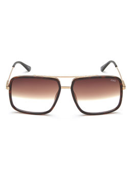 IDEE - Brown Half Gradient Lens Square Sunglass Shiny Brown Demi Shiny Light Gold Frame (59)