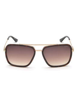 IDEE - Brown Gradient Fm Lens Square Sunglass Shiny Brown Demi Shiny Light Gold Frame (57)